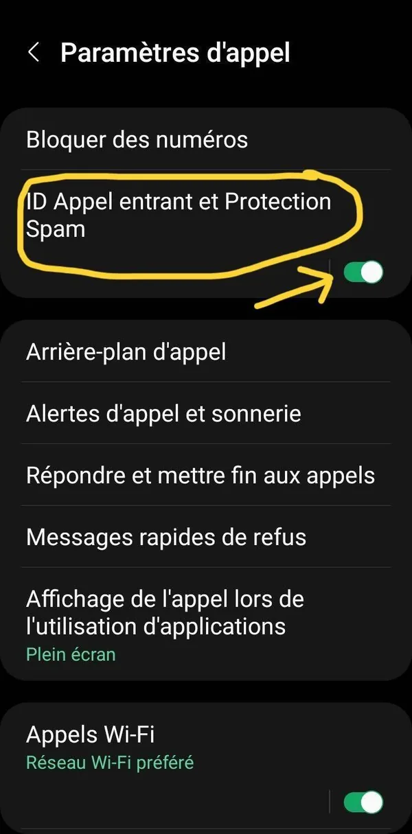 Paramètres d'appel avec l'option ID Appel entrant et Protection Spam entourée